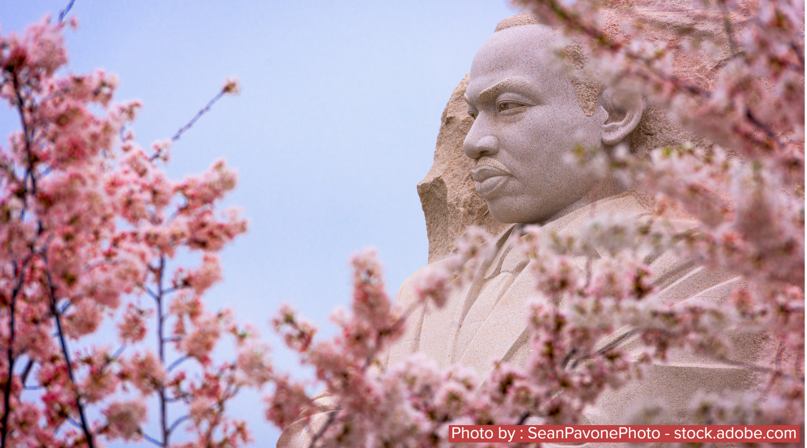 Celebrating MLK Day - How Social Justice Impacts Social Wellness
